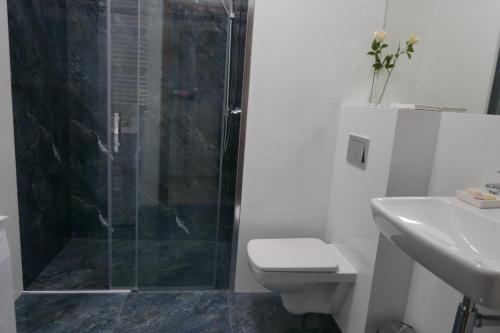 a bathroom with a shower and a toilet and a sink at Studio nr 2 close to Medicover and Paley Institute in Warsaw