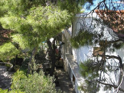 Apartments Zelko - with garden – Photos 2