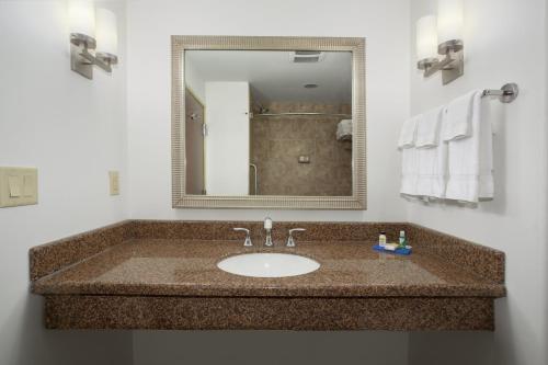 Holiday Inn Express Hotel & Suites Lander, an IHG Hotel في لاندر: حمام مع حوض ومرآة