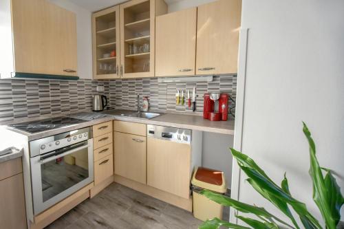 Η κουζίνα ή μικρή κουζίνα στο Ubytování Pod Světem-apartmán