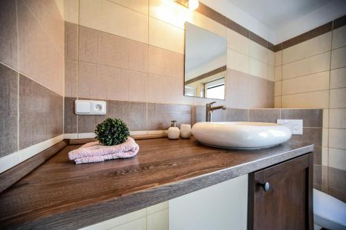 y baño con lavabo y espejo. en Ubytování Pod Světem-apartmán en Třeboň