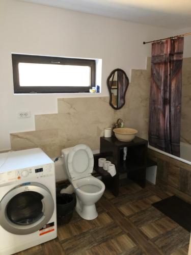 a bathroom with a toilet and a washing machine at POLOVRAGA - casă la țară cu ciubăr in Polovragi