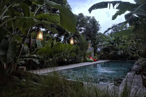 een zwembad in een tuin met lichten erboven bij west room at Semadi Living in Sukawati