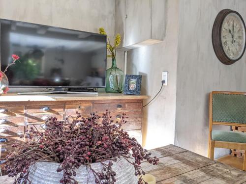 a living room with a tv and a potted plant at LaneStay DamSquare in Amsterdam