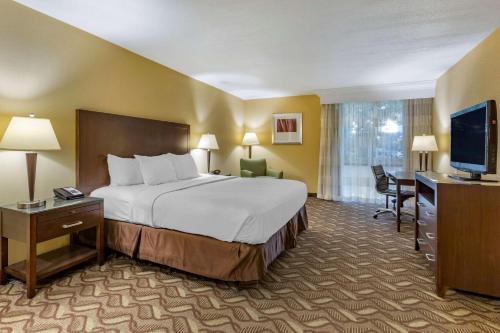 a hotel room with a bed and a television at Clarion Inn & Suites Roswell in Roswell