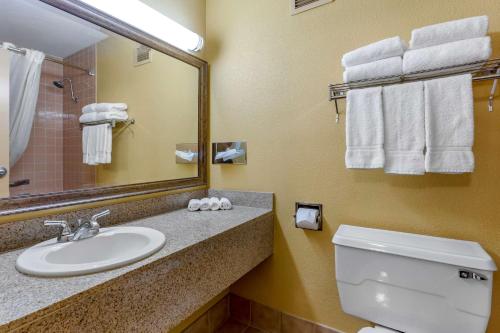 a bathroom with a sink and a toilet and a mirror at Clarion Inn & Suites Roswell in Roswell