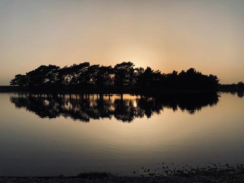a group of trees on a lake at sunset at Leygreen Farmhouse B&B in Beaulieu