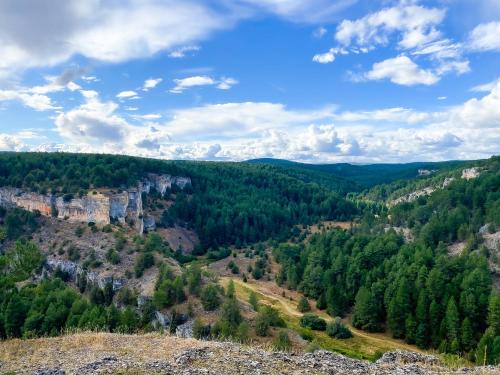 a view of a forest from the top of a mountain at Posada Real de Carreteros in Casarejos