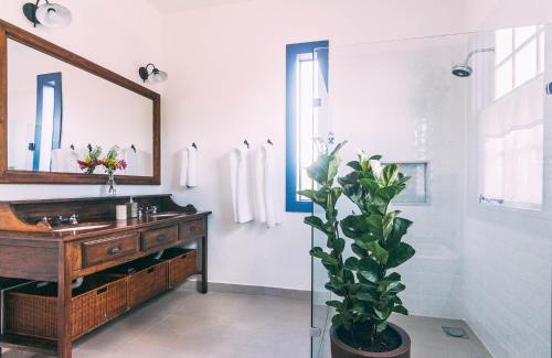 La salle de bains est pourvue d'un lavabo, d'un miroir et d'une plante en pot. dans l'établissement Amana Tiradentes, à Tiradentes