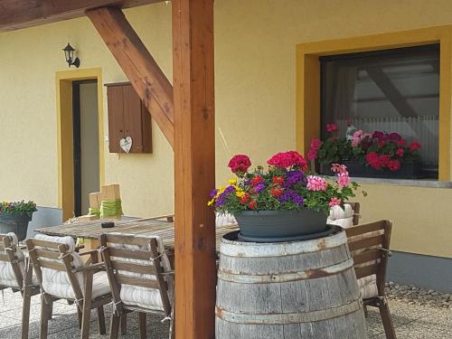 a wooden table with a pot of flowers on it at Huber Vendégszobák in Fertőrákos
