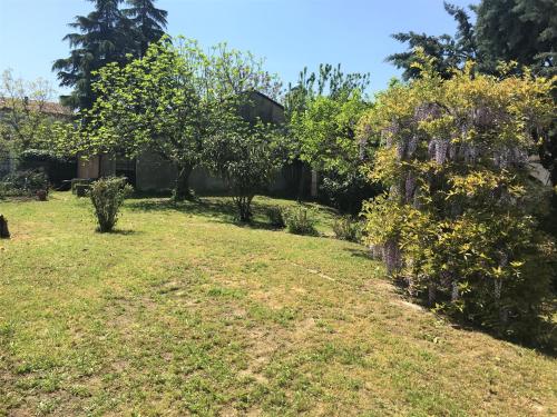 Zahrada ubytování Villa Zene