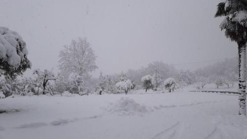 a snow covered park with trees and a field at Masseria boutique b&b in Montella