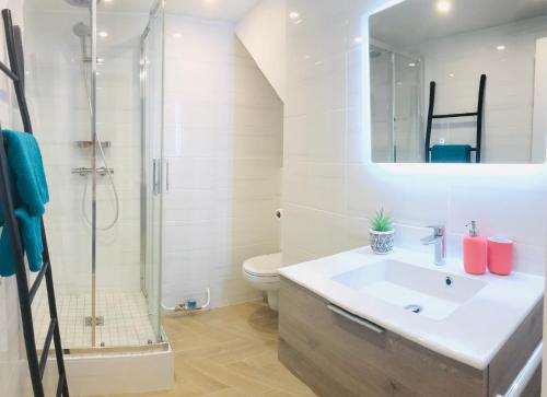 uma casa de banho com um lavatório, um chuveiro e um WC. em 30 mètres de la plage et des planches. Tout à pied ! em Trouville-sur-Mer