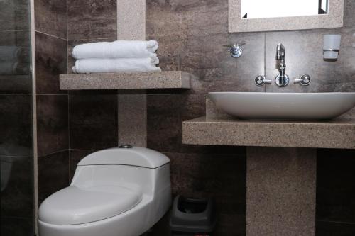 a bathroom with a toilet and a sink at Hoteles Bogotá Inn Lago Chico in Bogotá