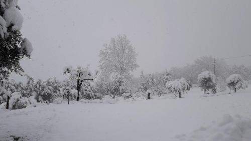 a snow storm with trees covered in snow at Masseria boutique b&b in Montella
