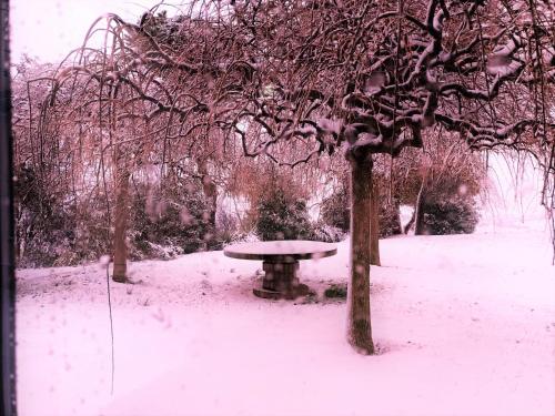 a picnic table in the snow under a tree at Relais Villa Margherita in Longiano