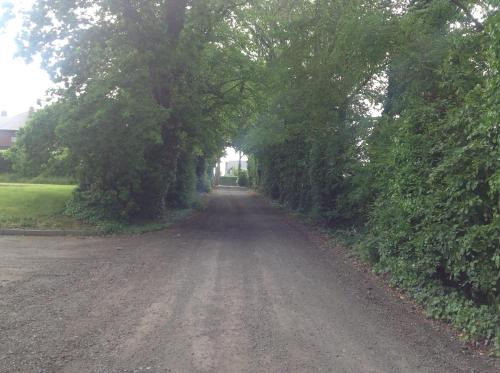 a dirt road with trees on the sides of it at Arden Bungalow in Baltray