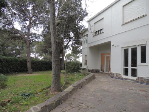 una casa bianca con un albero davanti di La Quercetta a Quercianella