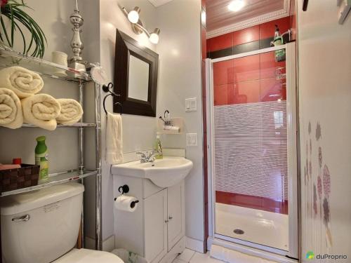 a bathroom with a shower and a toilet and a sink at Gîte du Village - Deschambault in Deschambault