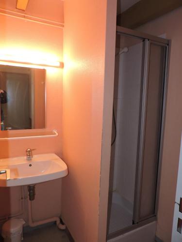 une salle de bain avec un lavabo et une douche dans l'établissement Domaine Du Bois du Loup, à Saint-Agnan