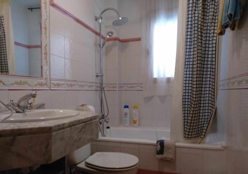 a bathroom with a sink and a toilet and a shower at La Casa del Carrebaix in Orba