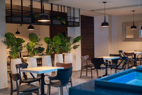 Gallery image of Hotel Ha in Orizaba