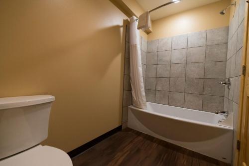 a bathroom with a toilet and a bath tub at McKinley Creekside Cabins in McKinley Park
