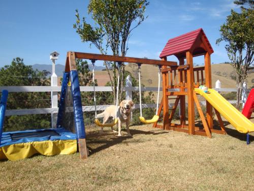a dog is standing next to a playground at Pousada Sonho Meu in Itanhandu