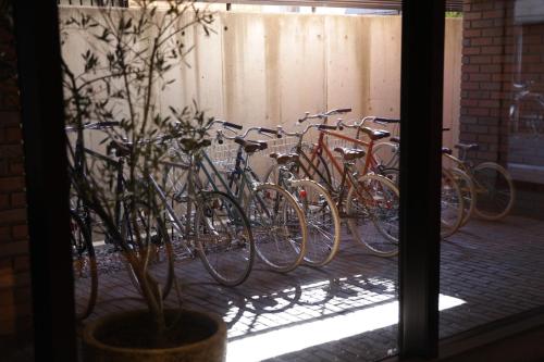 浅草九倶楽部ホテルの敷地内または近くで楽しめるサイクリング