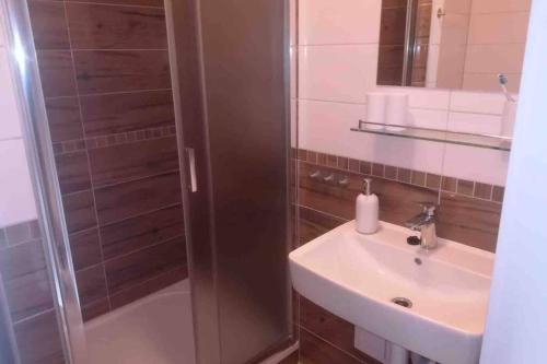 La salle de bains est pourvue d'une douche et d'un lavabo. dans l'établissement Apartmán Jakub Sklář, à Železná Ruda