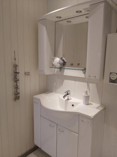 a white bathroom with a sink and a mirror at Fräulein Emma Lotta in Kronsgaard