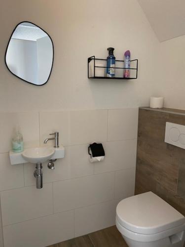 a bathroom with a toilet and a mirror and a sink at 't Hulzen 55 or 61 Winterswijk in Winterswijk