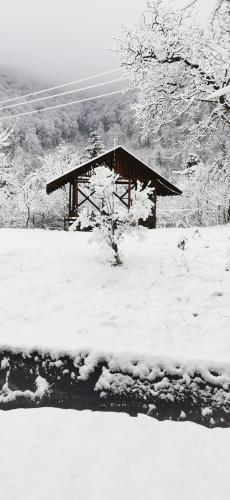 a cabin in a field with snow on the ground at HOTEL ALL TIMES in Timisul de Jos