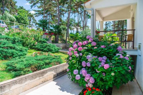 a bush of purple flowers on the side of a house at Apartments Pino Rabac in Rabac