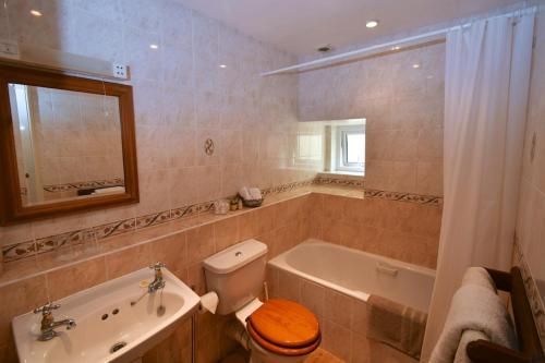 a bathroom with a toilet and a tub and a sink at Glascoed Farmhouse in Carmarthen