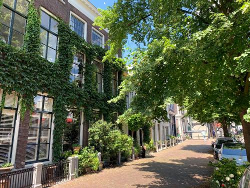 a street in a town with buildings and trees at 't hart van Schiedam in Schiedam