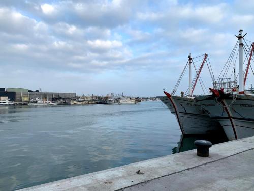 Φυσικό τοπίο κοντά σε αυτό το δωμάτιο σε οικογενειακή κατοικία