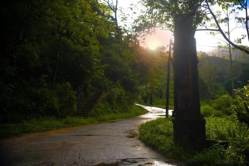 a dirt road with the sun shining through the trees at Fallside Rest in Norton Bridge