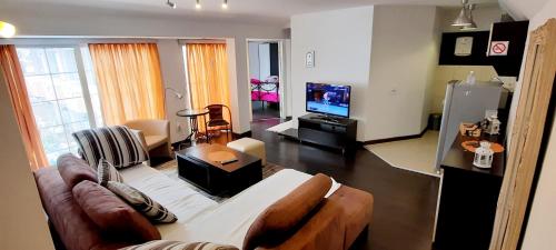 a living room with a couch and a television at Aloha Apartments with pool in Skopje