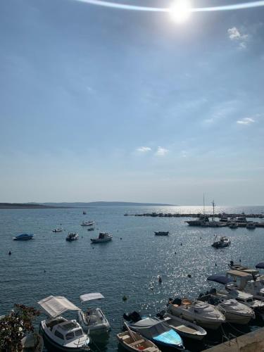 Příroda nedaleko apartmánu