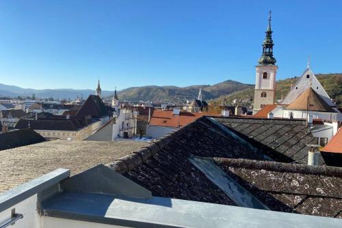 a view of a city from the roof of a building at Terrassen Appartement über den Dächern von Krems in Krems an der Donau