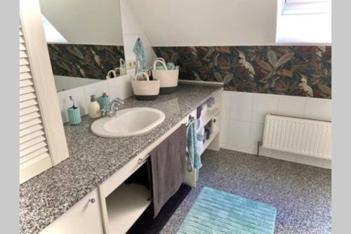 Kuchyň nebo kuchyňský kout v ubytování Terrassen Appartement über den Dächern von Krems