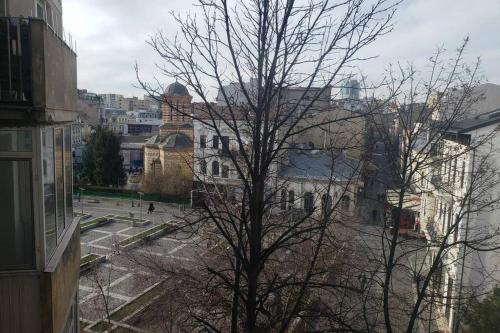 a tree with no leaves on it in a city at Închiriez garsoniera în regim hotelier unirii in Bucharest