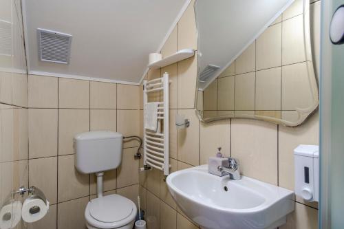 Kylpyhuone majoituspaikassa Pensiunea Bucovina
