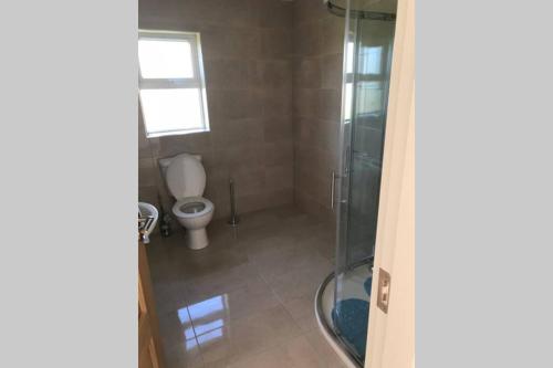 a bathroom with a shower and a toilet at Old head view in Louisburgh