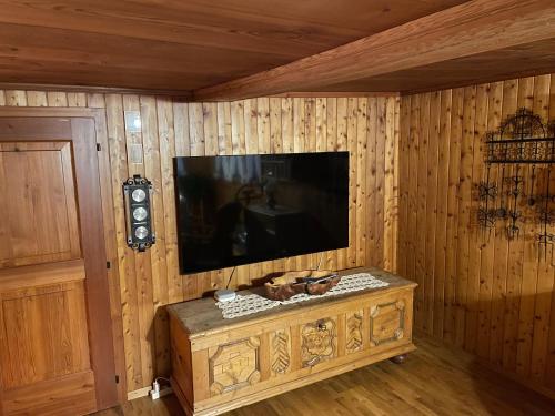 Habitación con TV en una pared de madera. en Haus Diezig en Niederwald