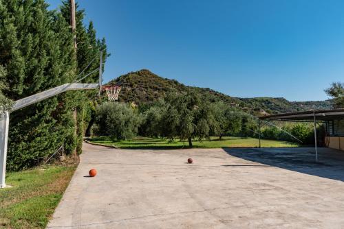 Gallery image of Anilio Plaza in Zakharo