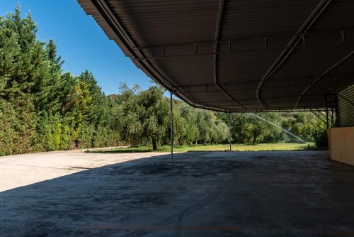Gallery image of Anilio Plaza in Zakharo