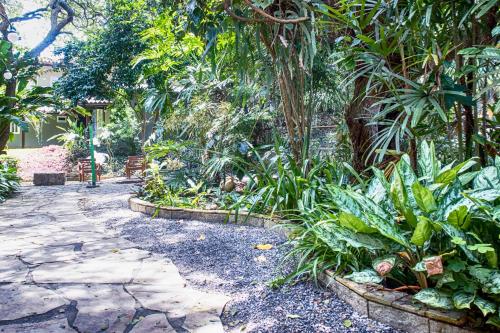 a garden with many plants and a walkway at Pousada Aguas Claras in Búzios