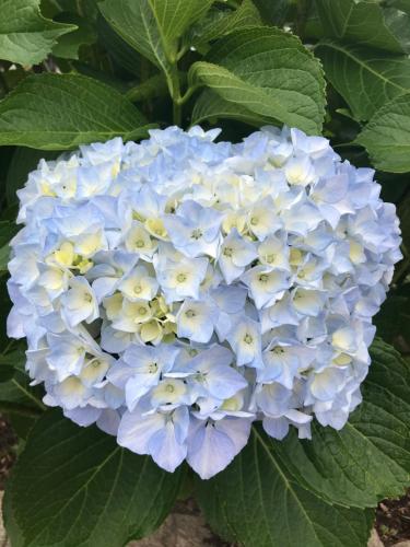 Photo de la galerie de l'établissement Casal da Batoca Nature House, à Fafe